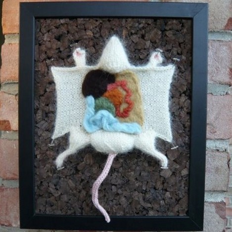 Strange-Knitting-Projects-08